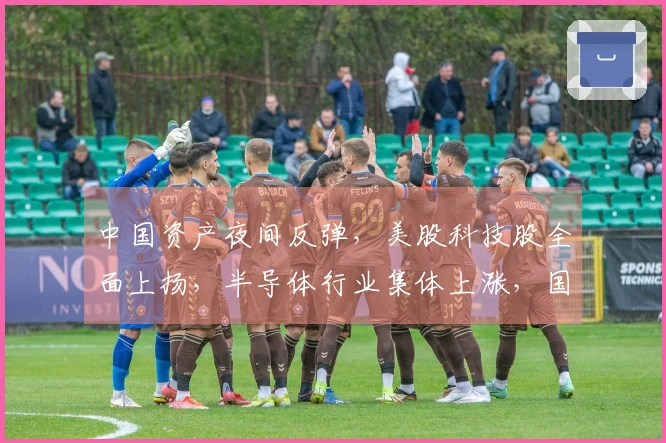 中国资产夜间反弹，美股科技股全面上扬，半导体行业集体上涨，国际油价剧烈下滑