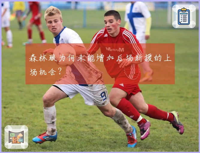 森林狼为何未能增加后场新援的上场机会？