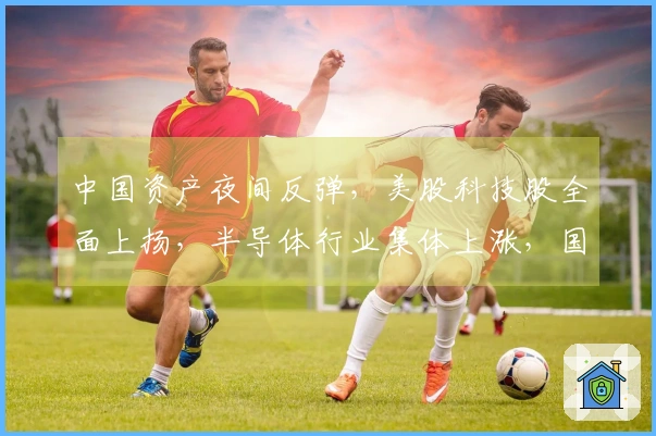中国资产夜间反弹，美股科技股全面上扬，半导体行业集体上涨，国际油价剧烈下滑