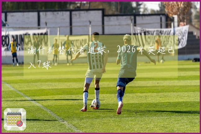 谢什科替代者进球，2026年英超已入7球